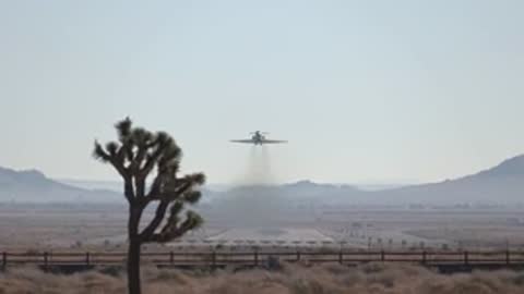 An airplane takes off from a desert runway past a Joshua tree.