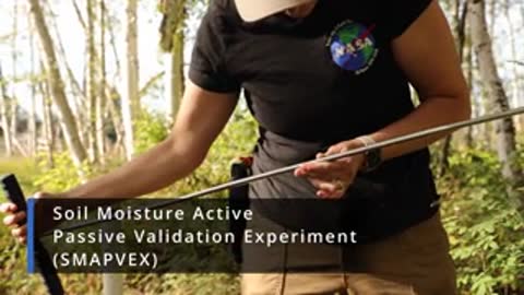 A person holds a metal rod in a forested environment.