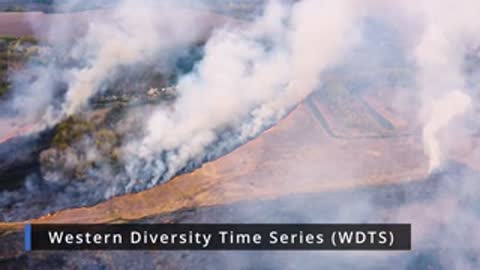 Aerial view of smoke billowing from a fire across a landscape with trees.