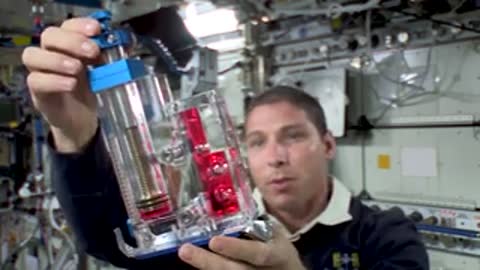 A person demonstrating a transparent mechanical pump model