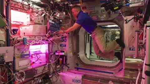 An astronaut floating inside a module with pink lights