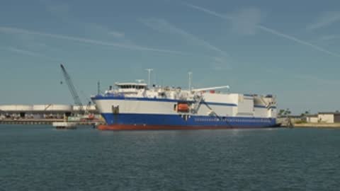 Static wide shot of a cargo ship moored in the water on a clear day.