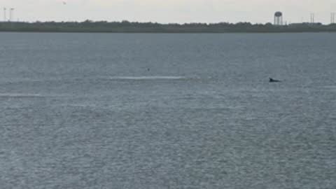 Wide static shot of a body of water with a distant shoreline and small ripples.