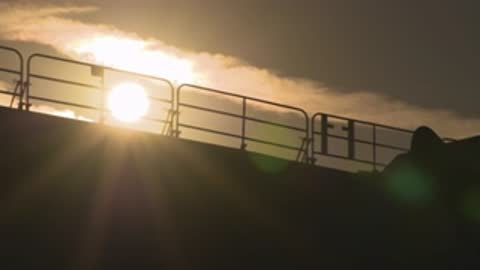 Low-angle close-up of a ship railing with the morning sun flaring behind it.