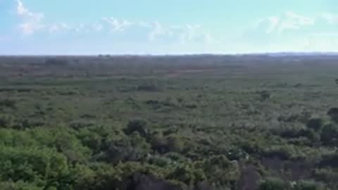 Aerial view panning from the metal tower facility to the surrounding green landscape.