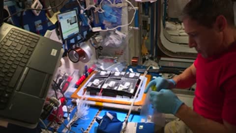 An astronaut wearing blue gloves handles planting equipment inside the space station.