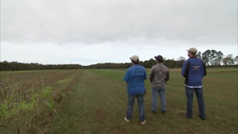 Three men stand in a grassy field looking up at the sky.