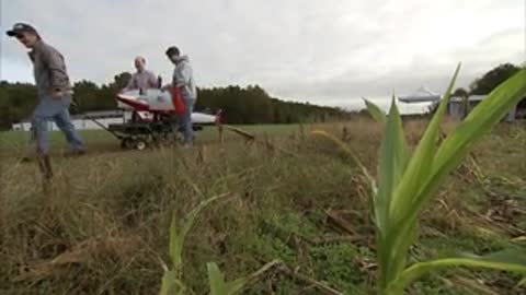 Two people push a cart across a field with tall grass.
