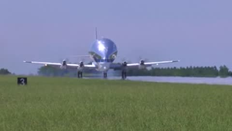 A specialized cargo aircraft lands on a runway with grassy fields.