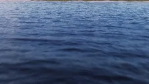 tracking shot over rippling ocean water towards sandy beach
