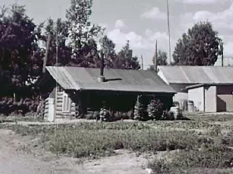 A log cabin with a pitched roof and surrounding trees.