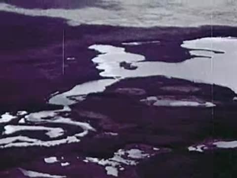 Aerial view of winding rivers, lakes, and dark forested landscape