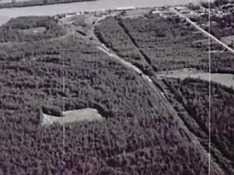 Aerial view of forested area with a clearing and a road
