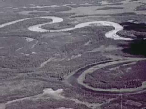 Aerial view of a wide meandering river cutting through flat forest