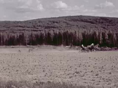 Horses pulling a piece of farm equipment across an agricultural field