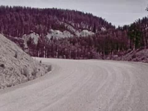 A view of a winding gravel road carved into a hill with sparse trees.