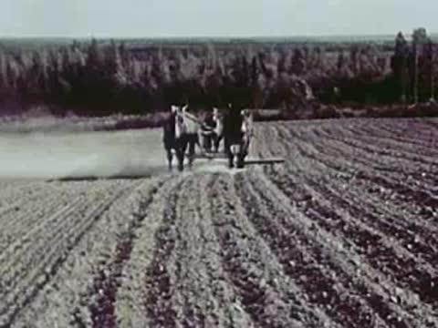 Two horses pulling a plow across a dusty dirt field