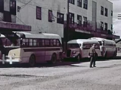 A row of buses parked along a city street as a person walks past them.