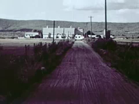 Dirt road leading toward a farm with houses and telephone poles