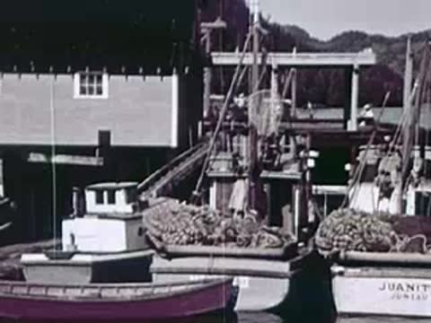 Fishing boats moored at a wooden dock in front of a cannery building