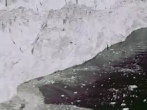 A glacier front terminating in dark water filled with floating ice, 1940s