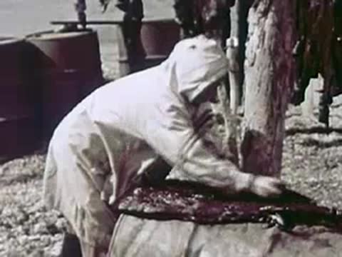 A person in protective clothing working near a barrel on the shore, 1940s