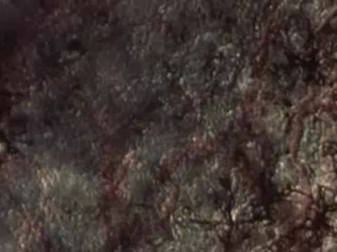 Microscopic view of textured cellular matter or organic tissue sample.