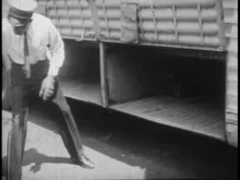 Driver placing suitcases inside the open luggage compartment of a bus
