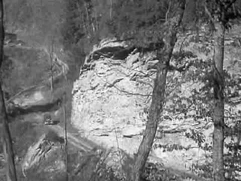 Static shot of a rocky cliffside and barren trees in a mountainous area