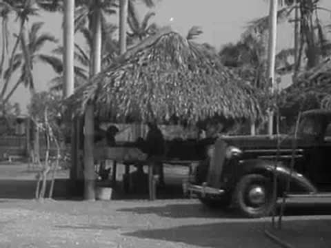 1930s car parked outside a thatched roof tropical structure with palm trees