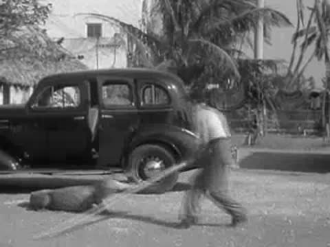 Person using a long pole to guide an alligator away from a car