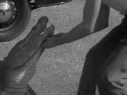 A man wrestles with a small alligator on dirt ground near a car.
