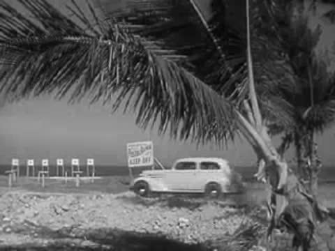 A car drives off-road through sandy terrain past palm trees and targets.