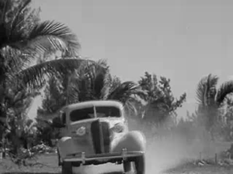 A car drives past palm trees and shooting range targets.
