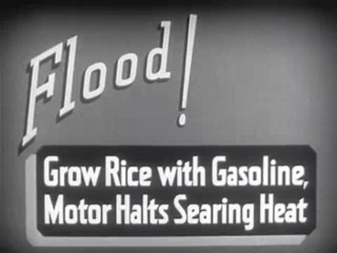 Title screen: Flood! Grow Rice with Gasoline, Motor Halts Searing Heat