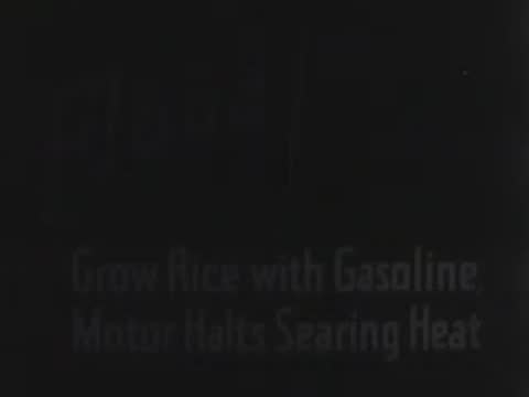 Title screen fading into rice field harvest footage