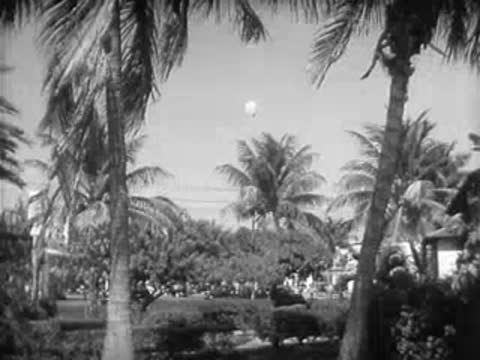 Weather balloon floating over palm trees and tropical landscape