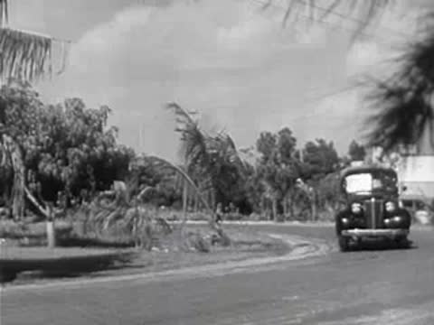Delivery truck driving along a curving coastal road with palm trees