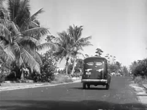 Delivery van drives down a palm-lined road.