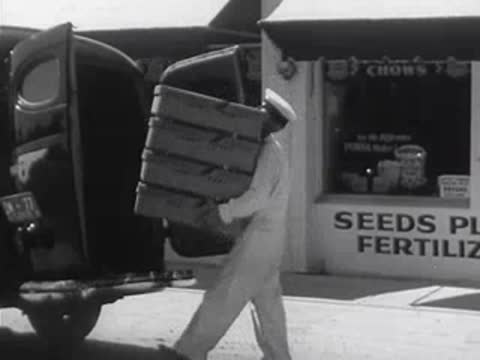 Man loads boxes of baby chicks into delivery van by plane.