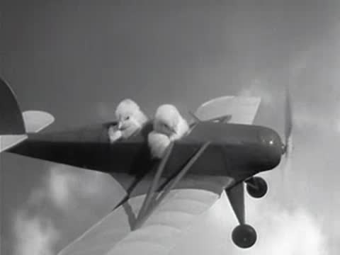 Two baby chicks sitting in the cockpit of a small airplane.