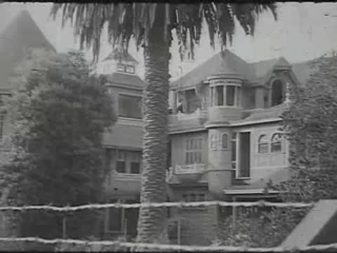 Large vintage house with palm tree in front garden.
