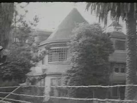 Vintage multi-story house and tall palm tree in yard.