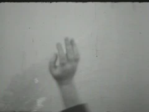 people waving towards the camera outdoors