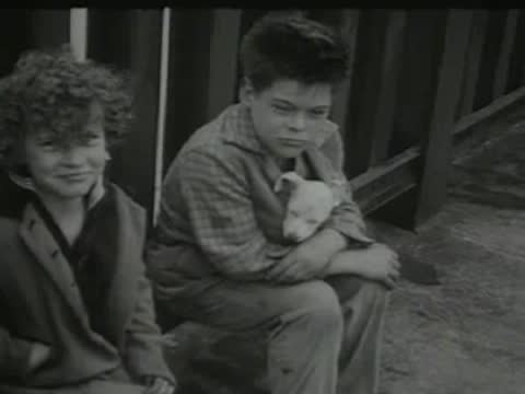 two children sitting outdoors with a small dog