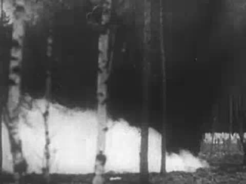 Explosion smoke rising among trees in a dense forest, World War II