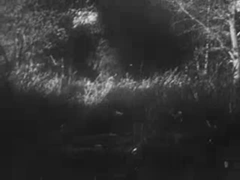 Soldier moving past trees and foliage in a wooded area, World War II