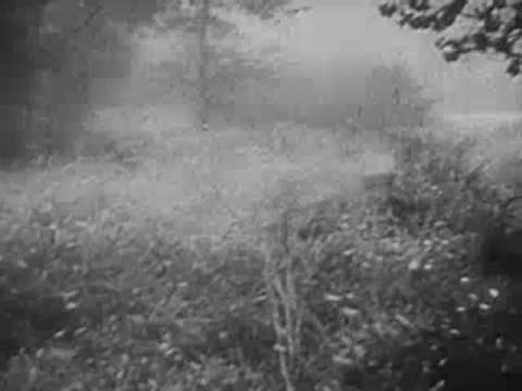 Soldiers advancing through a tall grass field dotted with flowers, World War II