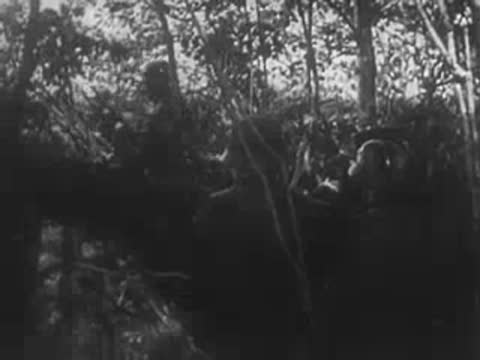 Explosions on a hill view followed by dense tree branches in motion.