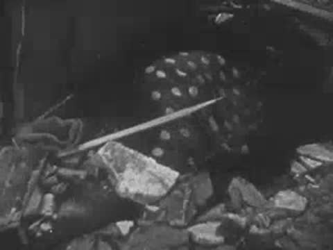 Numerous bodies laid out neatly in rows on a field or ground, WWII
